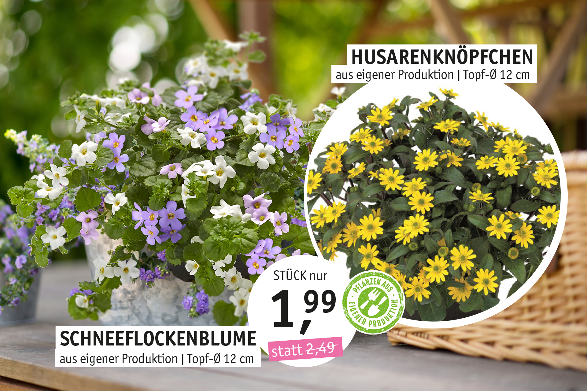 Blumen Decker Ihr Gartencenter in Achern