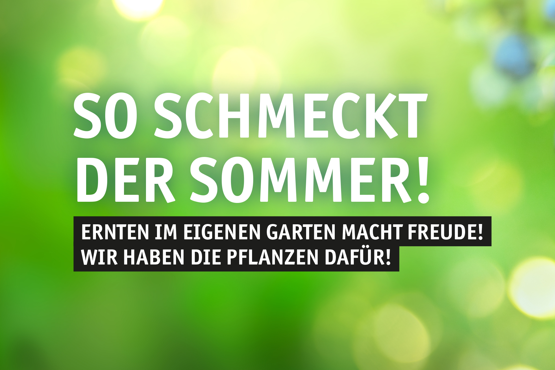 Blumen Decker Ihr Gartencenter in Achern