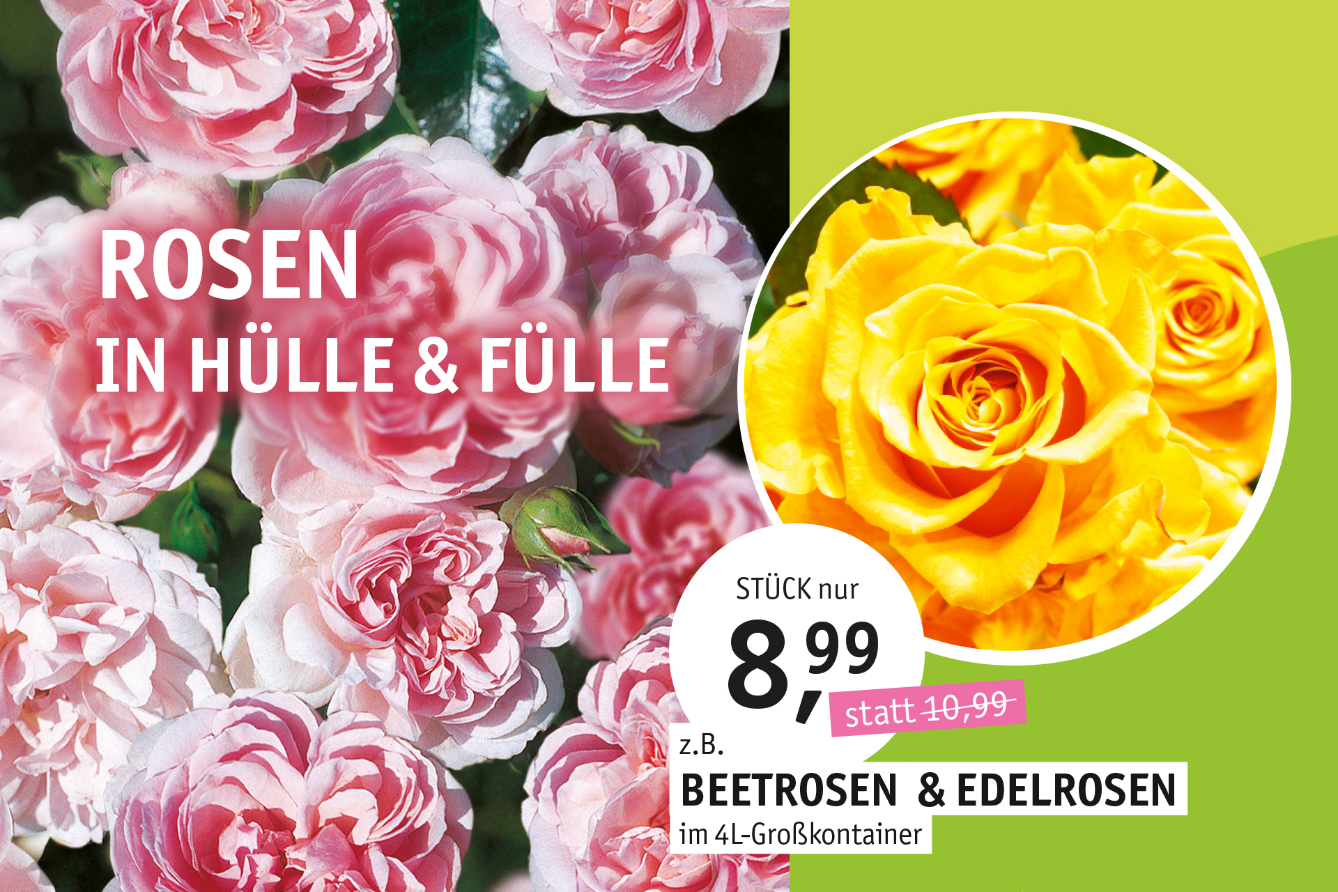 Blumen Decker Ihr Gartencenter in Achern