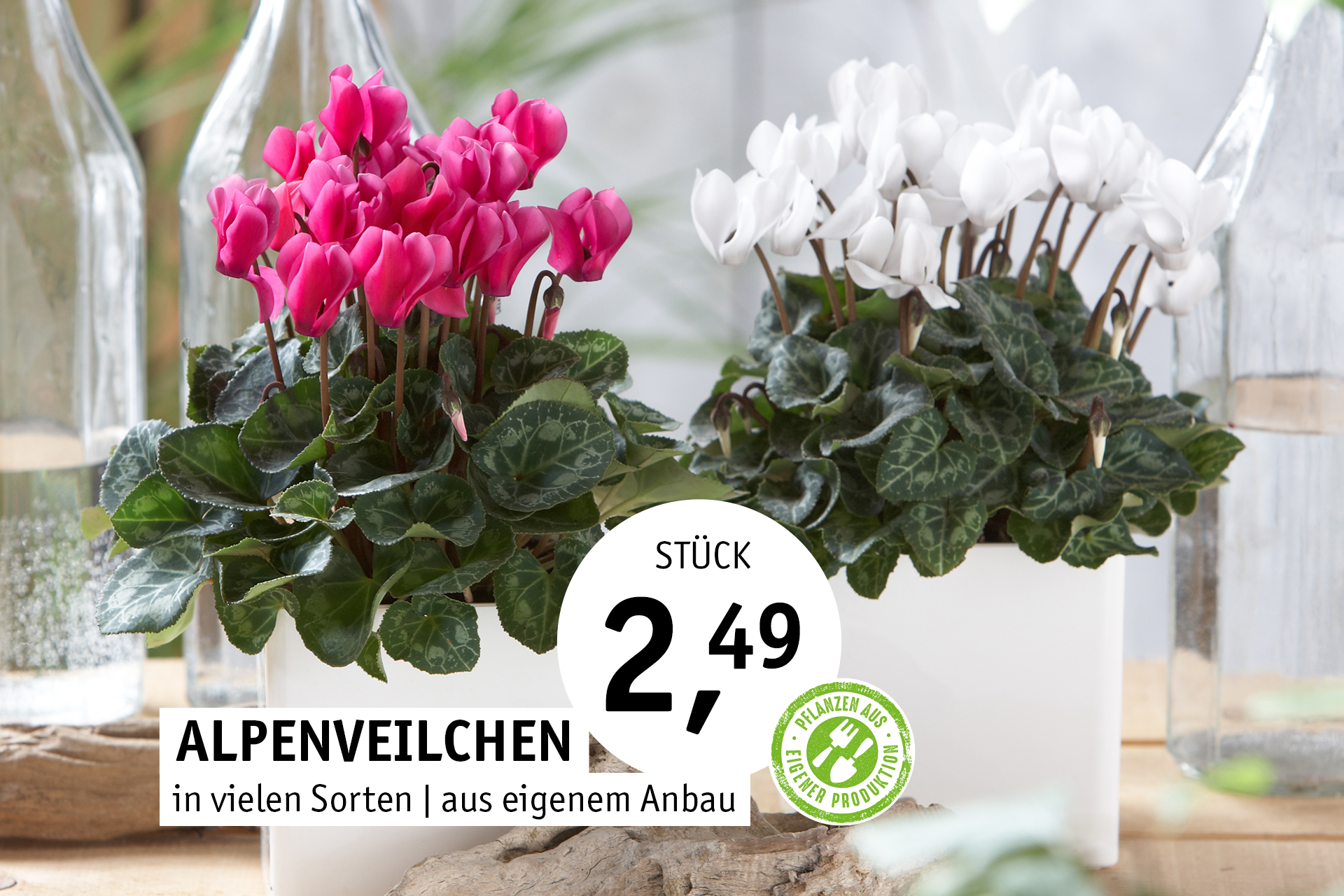 Blumen Decker Ihr Gartencenter in Achern