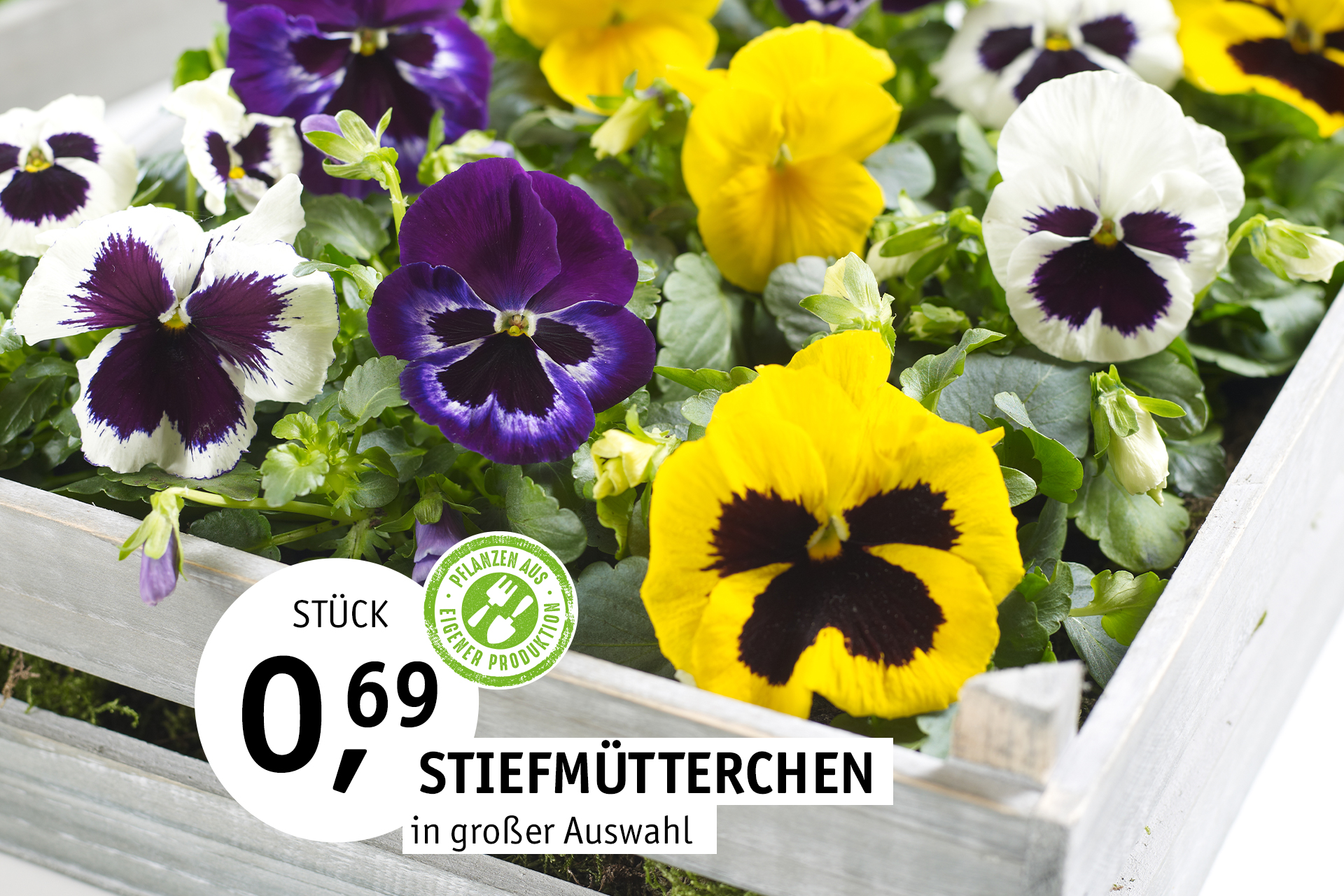 Blumen Decker Ihr Gartencenter in Achern