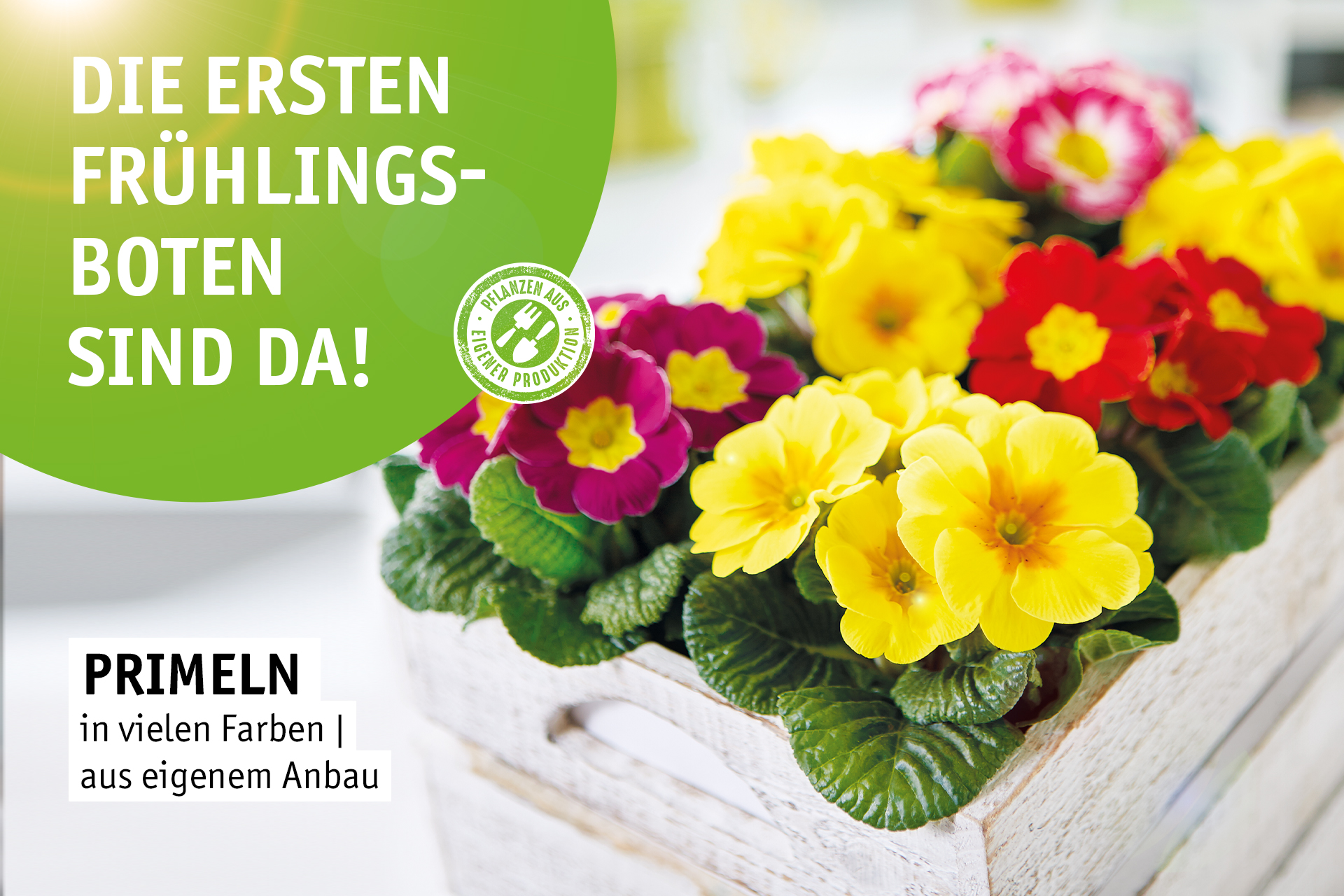 Blumen Decker Ihr Gartencenter in Achern