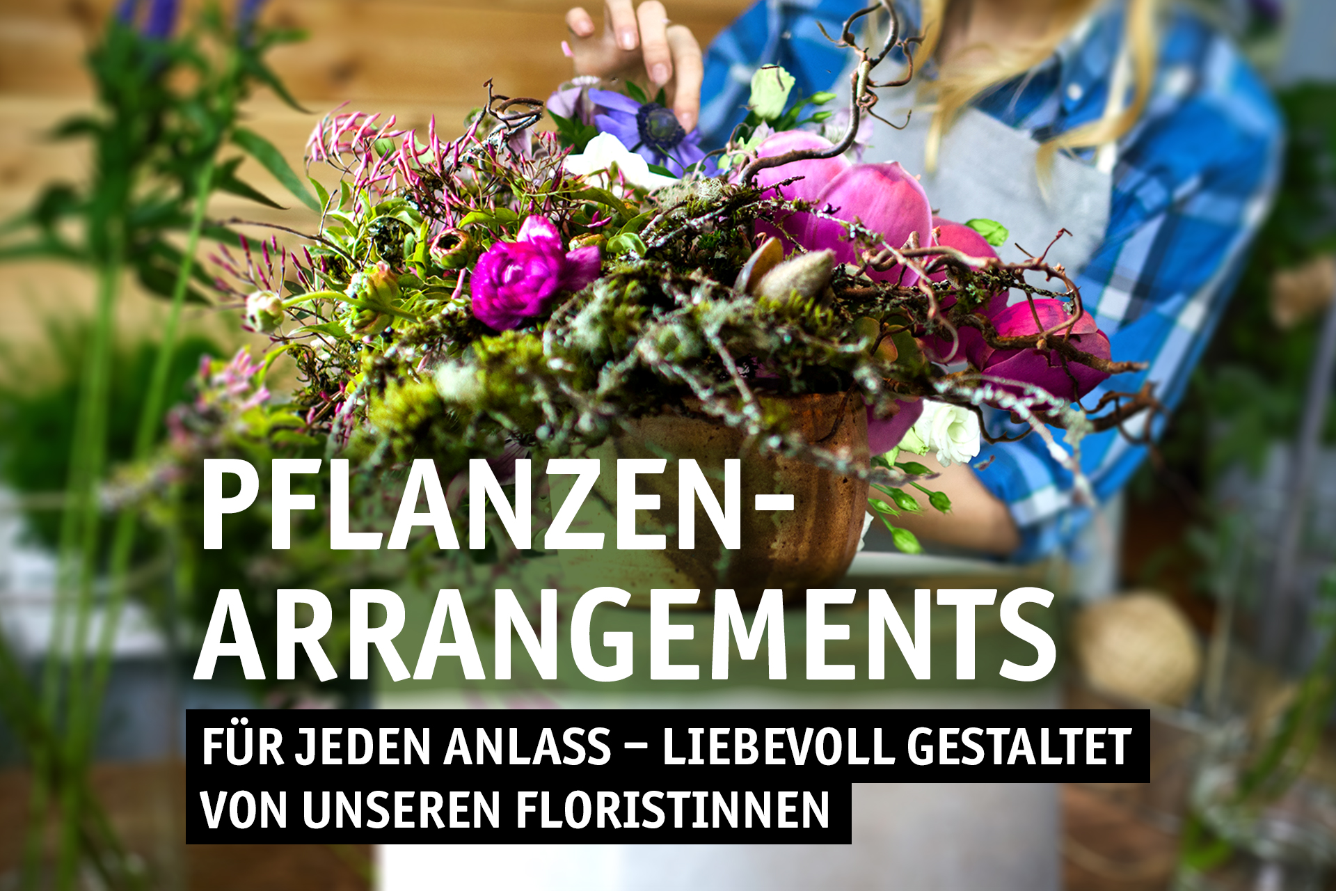 Blumen Decker Ihr Gartencenter in Achern