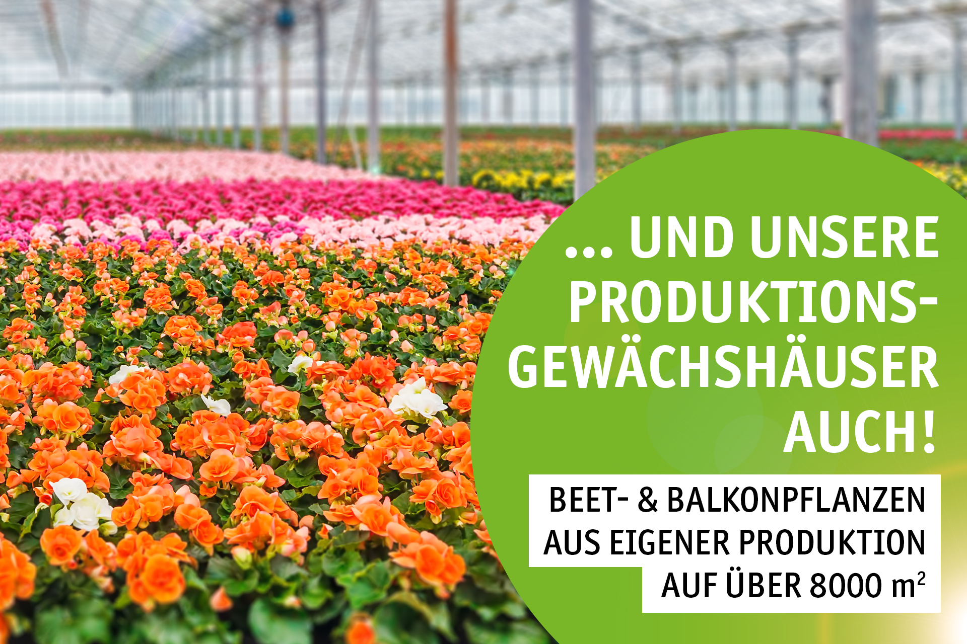 Blumen Decker Ihr Gartencenter in Achern