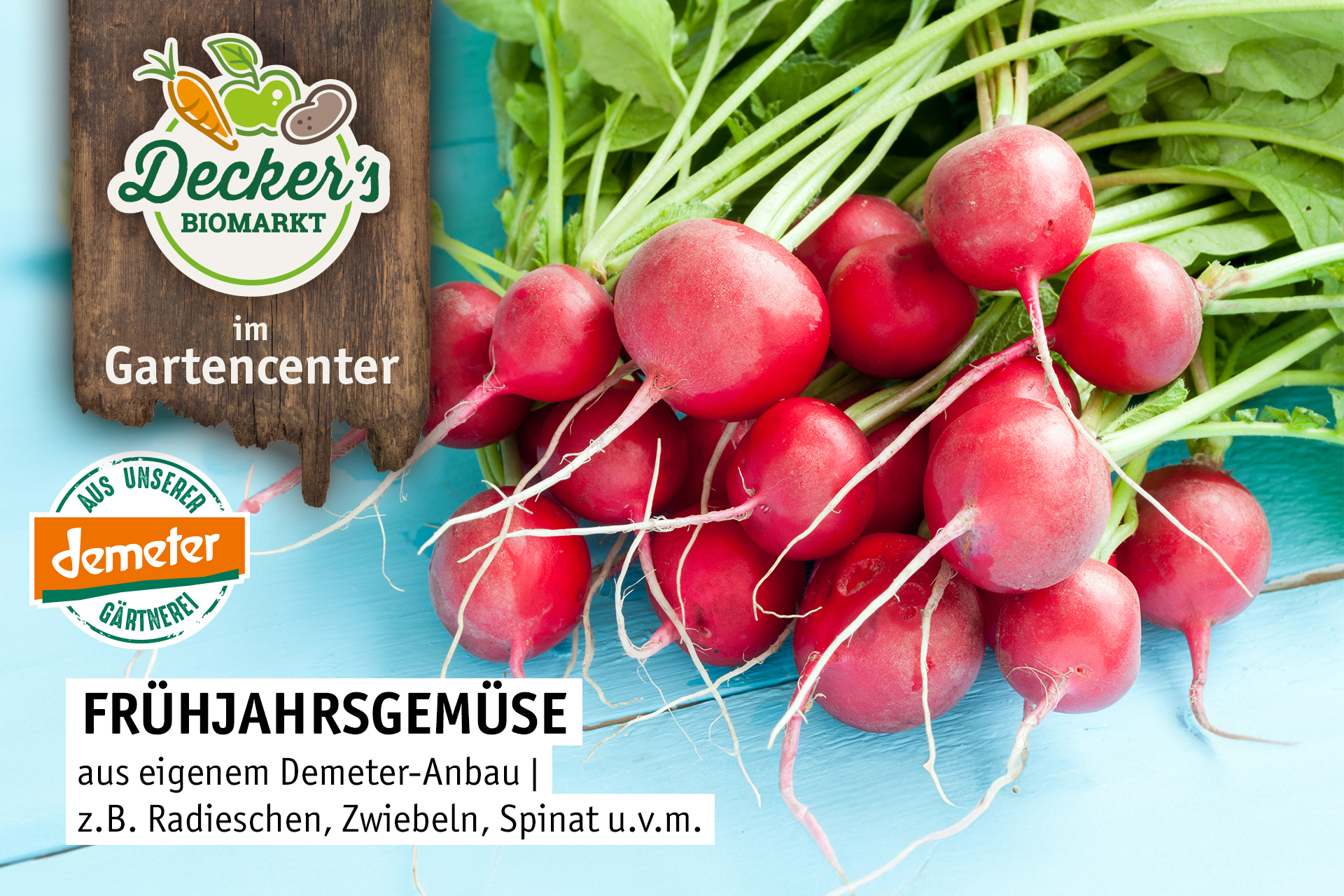 Blumen Decker Ihr Gartencenter in Achern