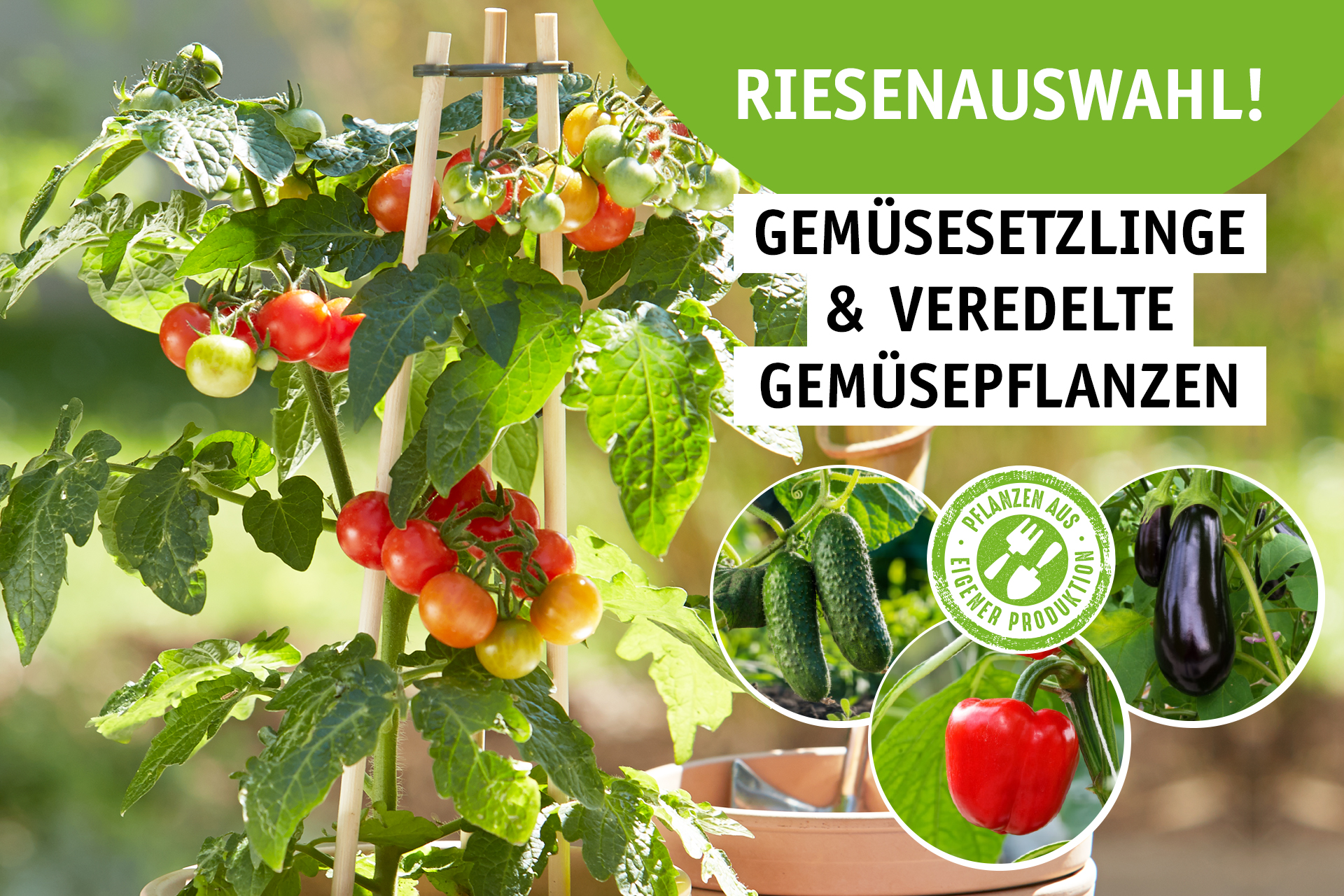 Blumen Decker Ihr Gartencenter in Achern