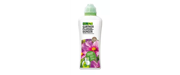 Sonnenhut Gartencenter Decker