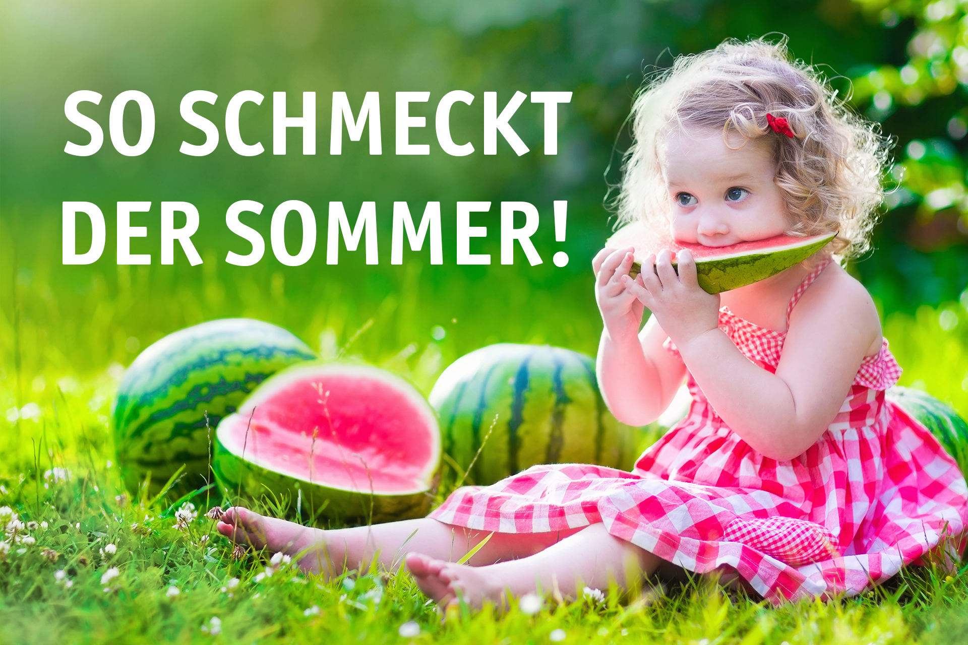 Melonen-1.jpg