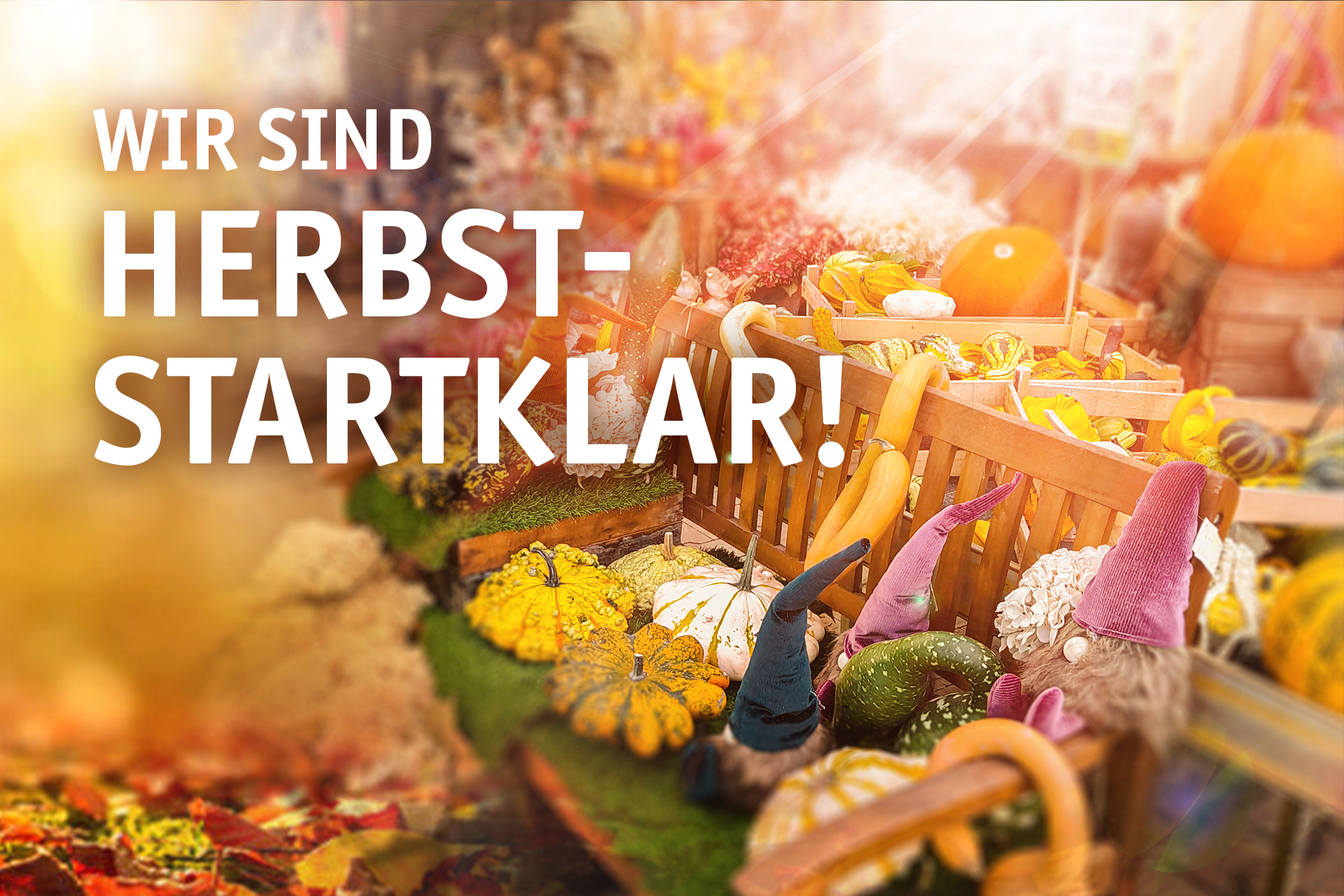 Herbst-Deko.jpg