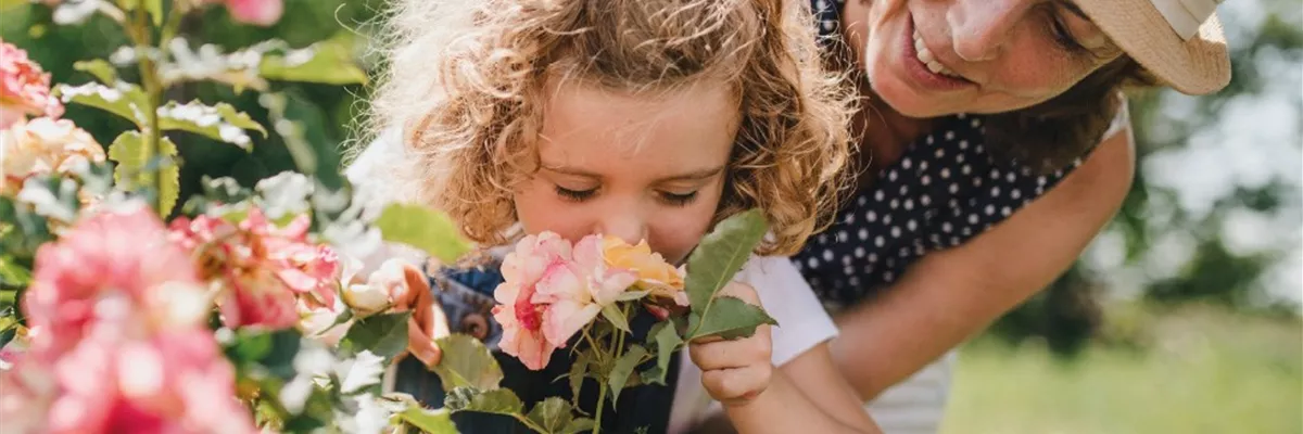 VOLLE BLüTE, VOLLER DUFT!
