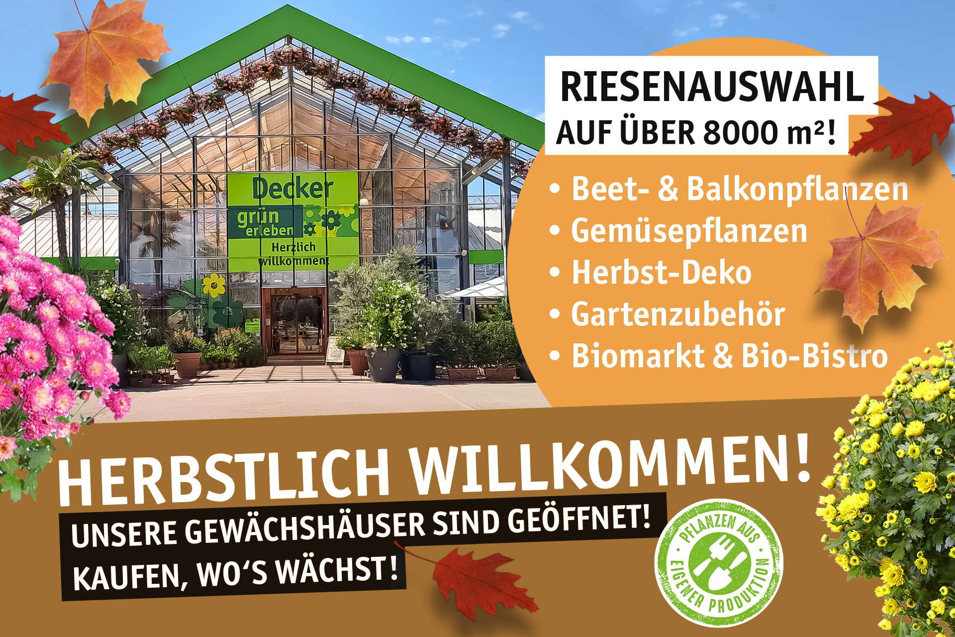 Blumen Decker Ihr Gartencenter in Achern