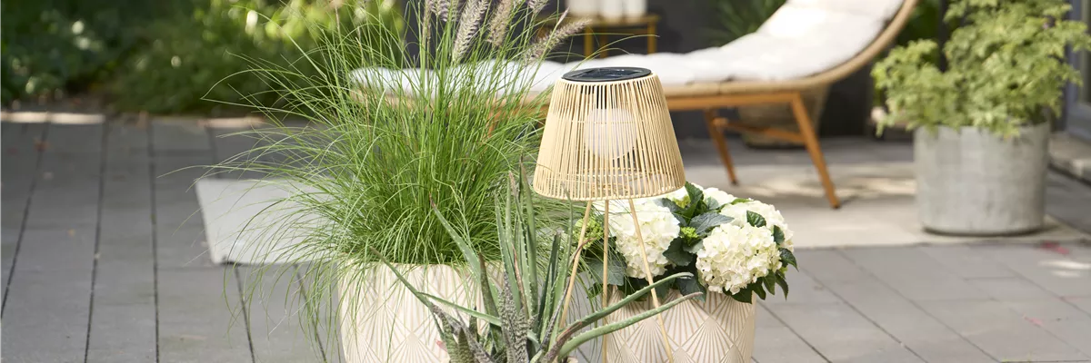 OASE DER ENTSPANNUNG!