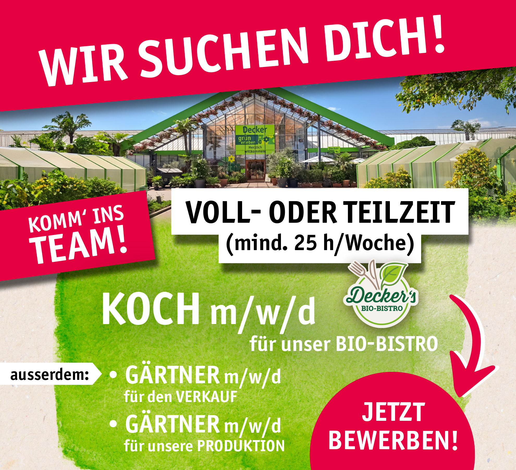 Dringend gesucht! - Koch mit Bio-Leidenschaft!