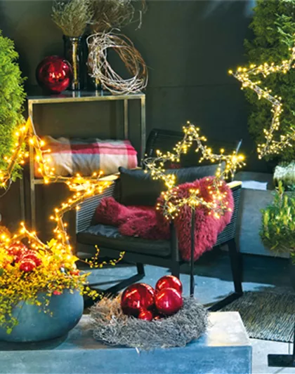 LICHTBLICKE IM WINTER-GARTEN!