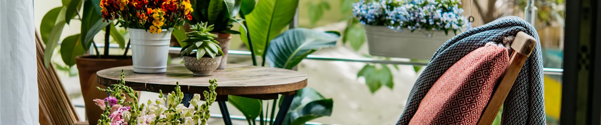 Buch des Monats: Mai!