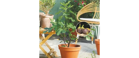 URLAUBSGEFÜHLE ZUHAUSE! 