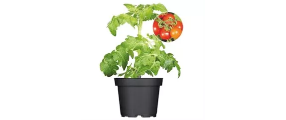 URLAUBSGEFÜHLE ZUHAUSE! 