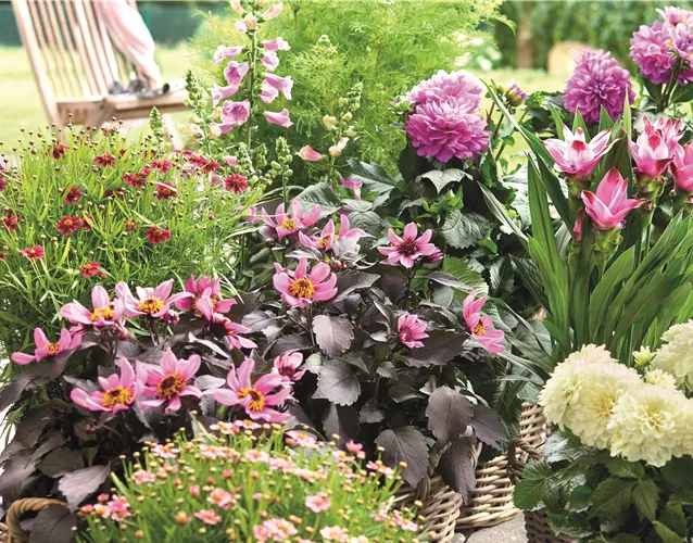 BLÜHENDER GARTEN! AUSDAUERNDE STAUDEN FÜR TERRASSEN UND BEETE. 
