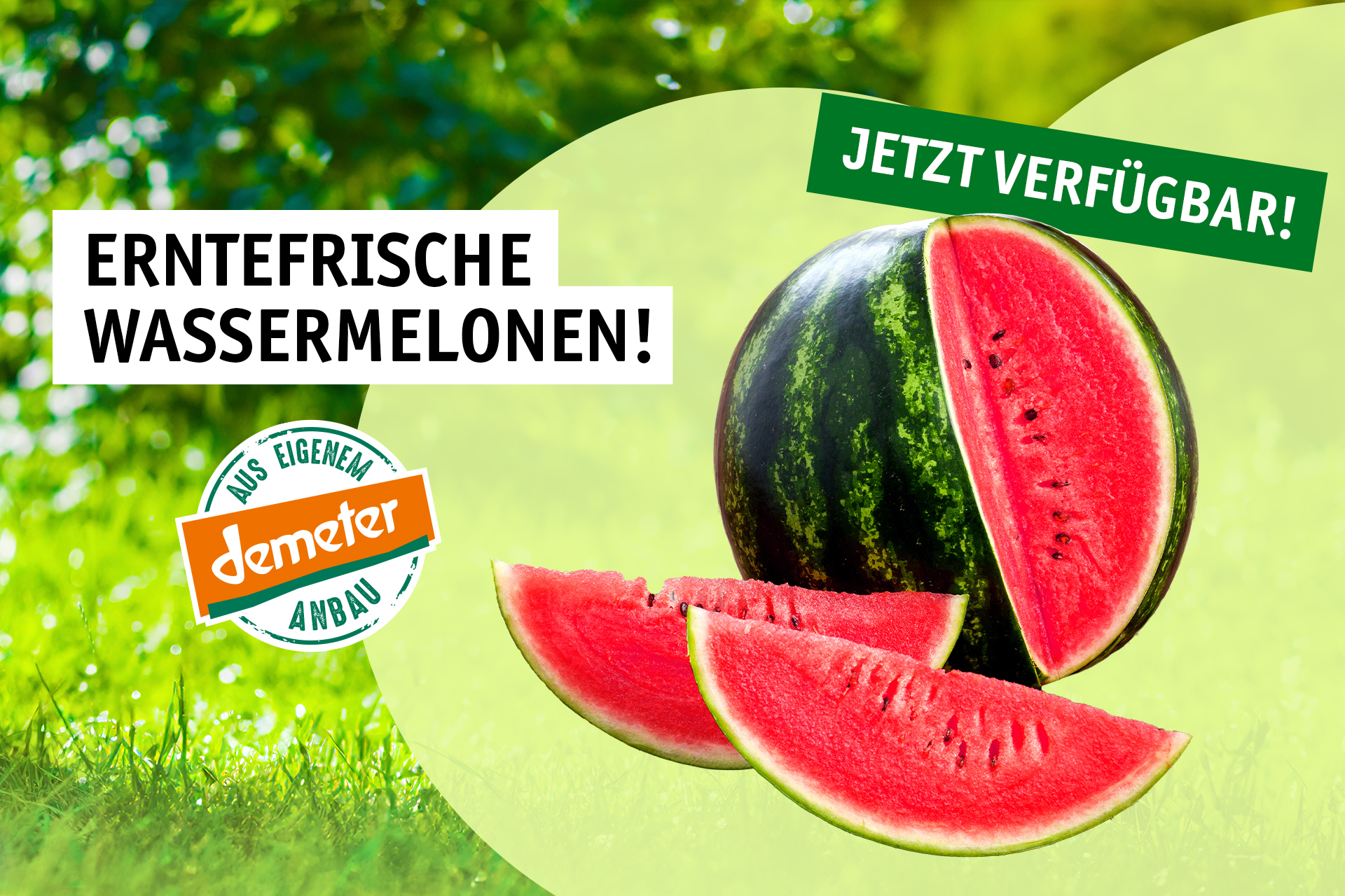 Wassermelonen-Saison-2.jpg