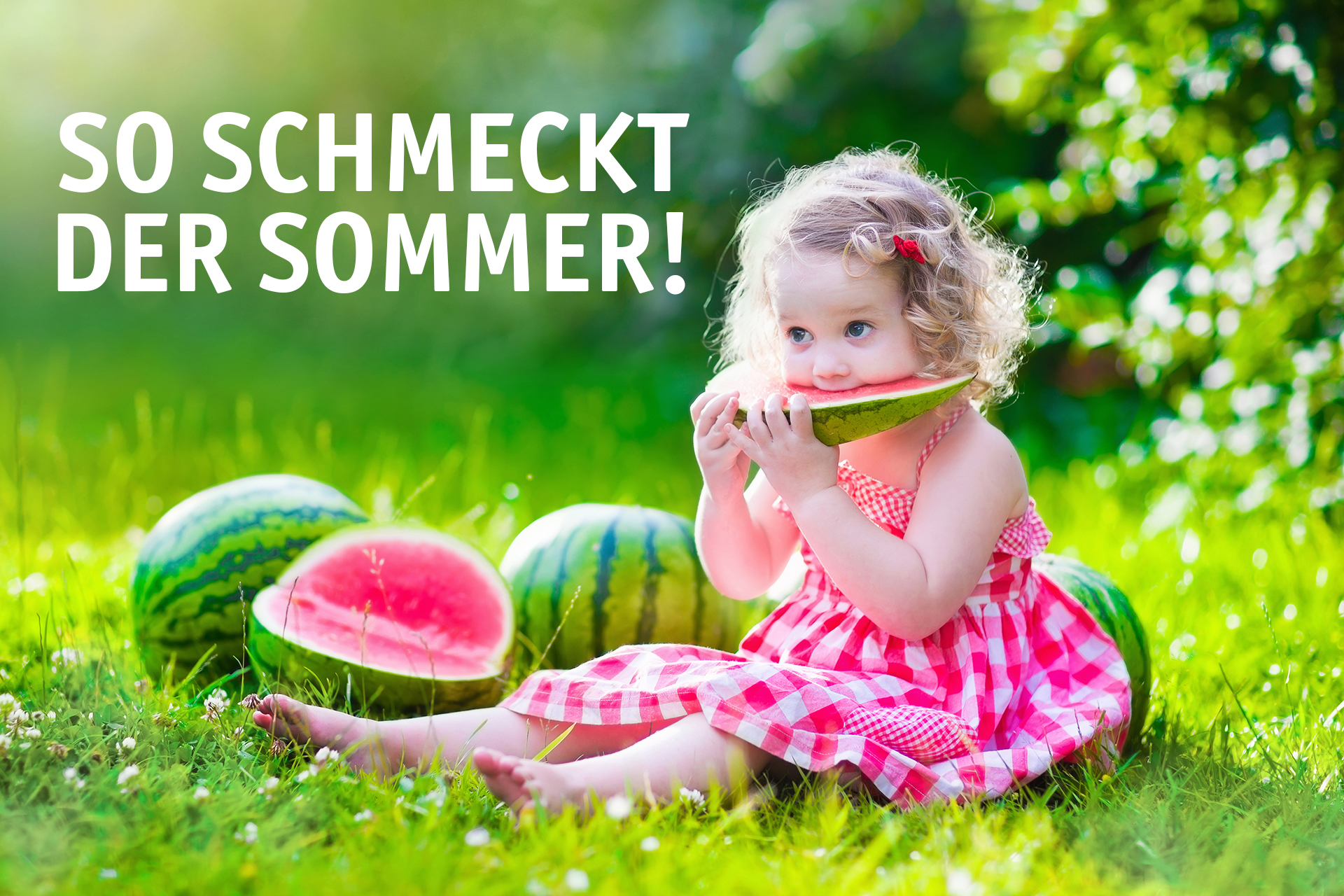 Wassermelonen-Saison-1.jpg