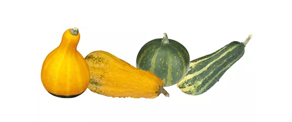 FARBEN VOLLER HERBSTGEFÜHL! 