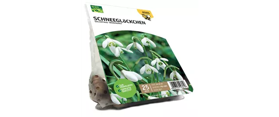 FRüHLING BEGINNT IM HERBST!