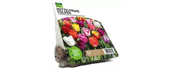 FRüHLING BEGINNT IM HERBST!