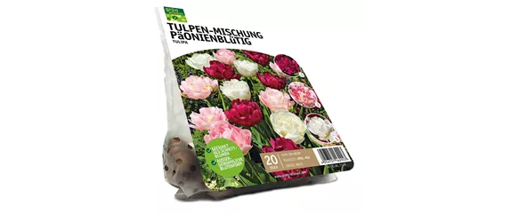 FRüHLING BEGINNT IM HERBST!