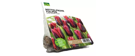 FRüHLING BEGINNT IM HERBST!