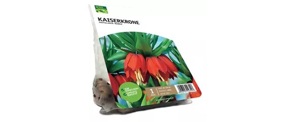 FRüHLING BEGINNT IM HERBST!