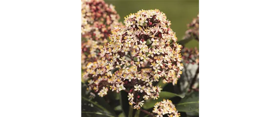 BUNTE HERBSTFREUDE!