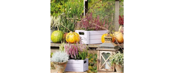 BUNTE HERBSTFREUDE!