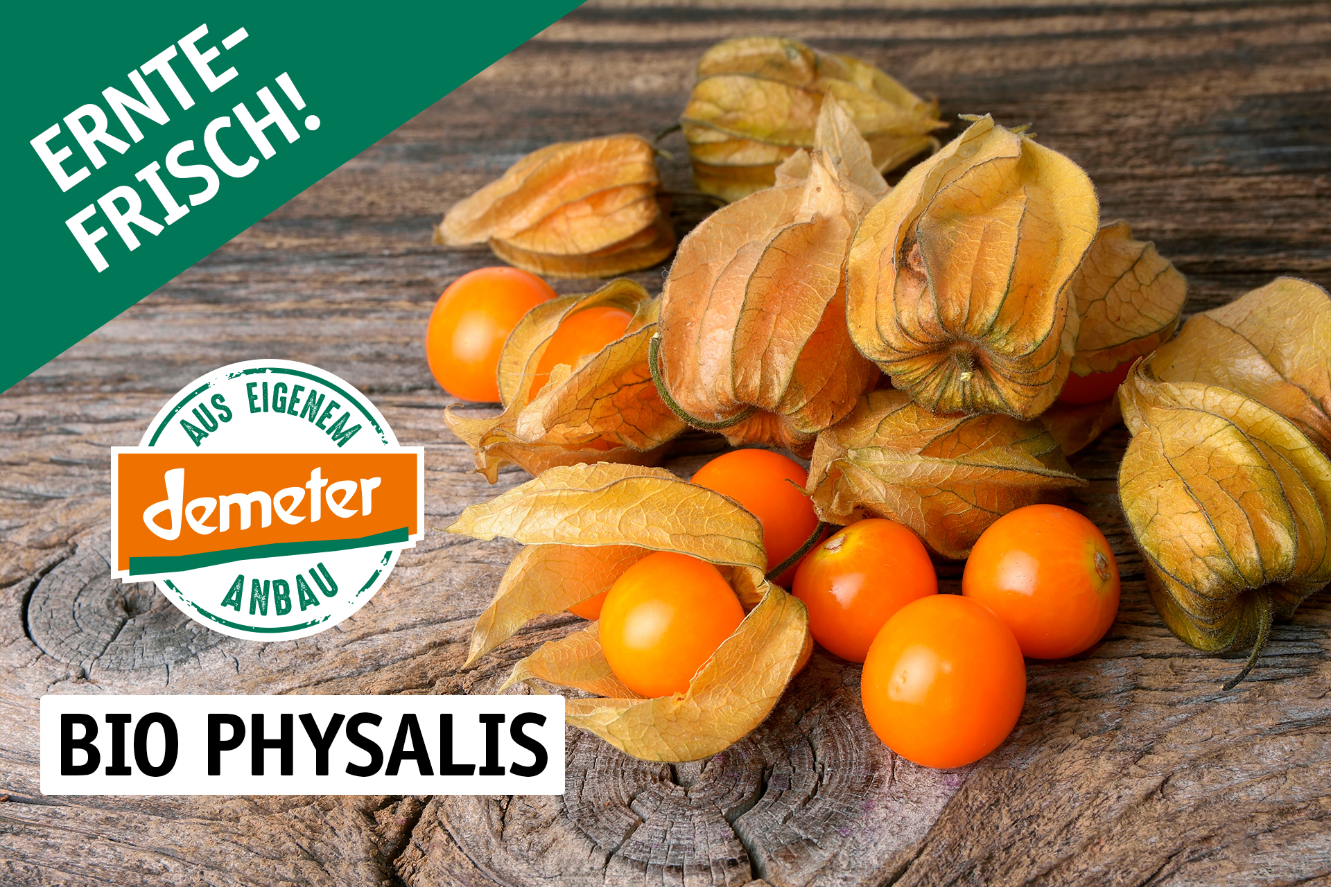 Physalis-Teaser.jpg