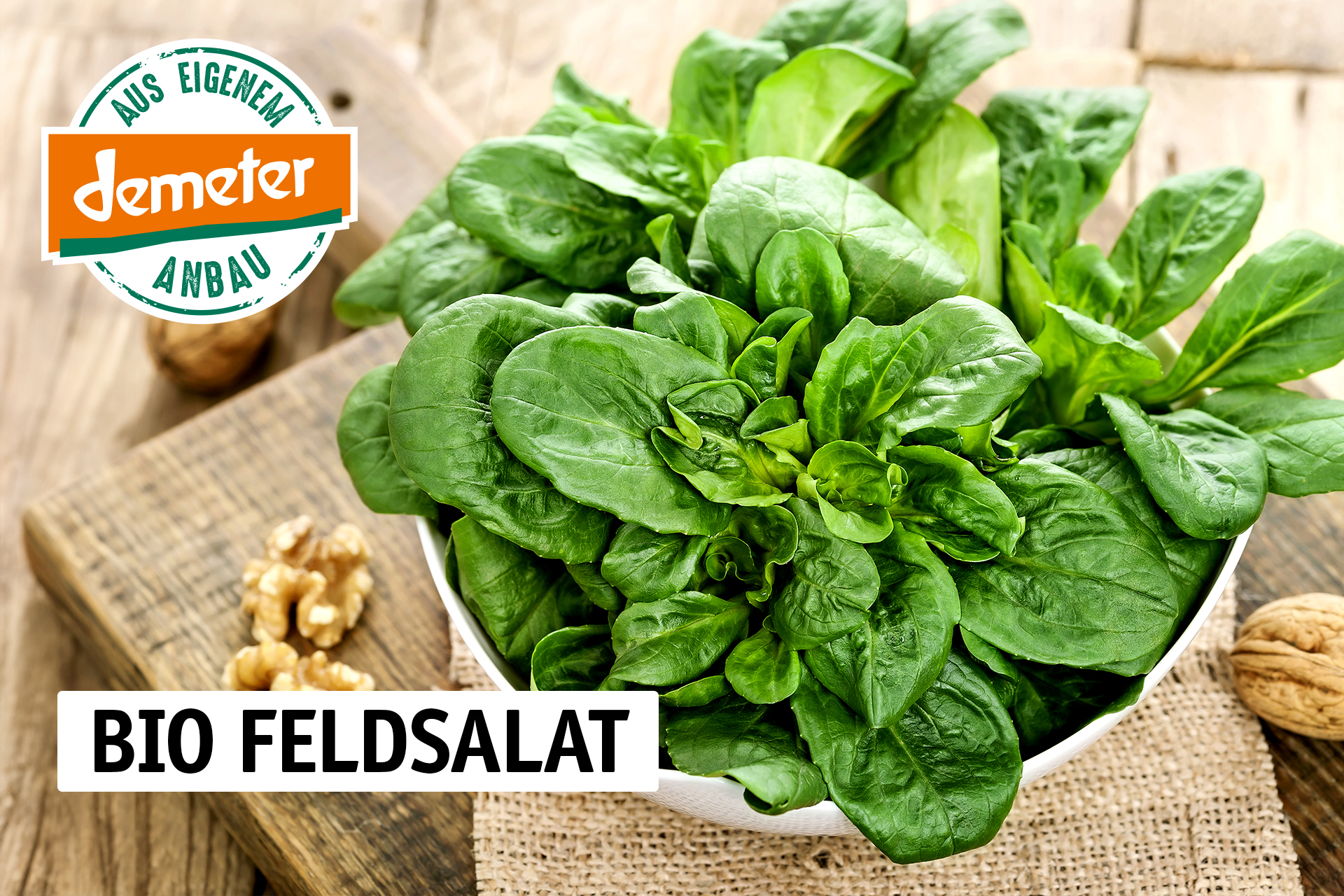 Feldsalat-2026.jpg