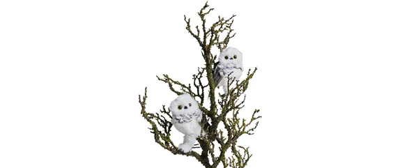 WEIHNACHTLICHE WOHNMAGIE!