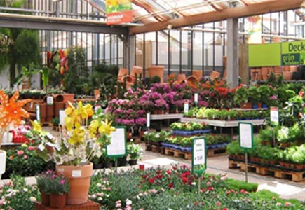 Einblicke in unser Sortiment