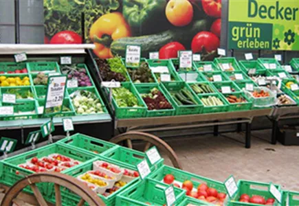 Bio-Gemüse-Gärtnerei