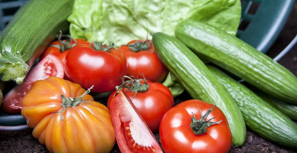 ALLES FÜR DEN BAUERNGARTEN