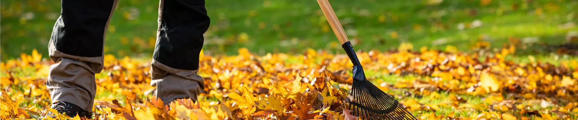 Gartengeräte - Mann harkt Laub
