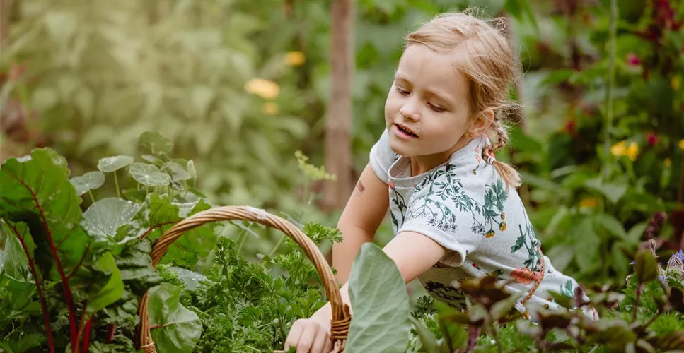 KINDER SPIELERISCH IN DIE ERNTE EINBEZIEHEN